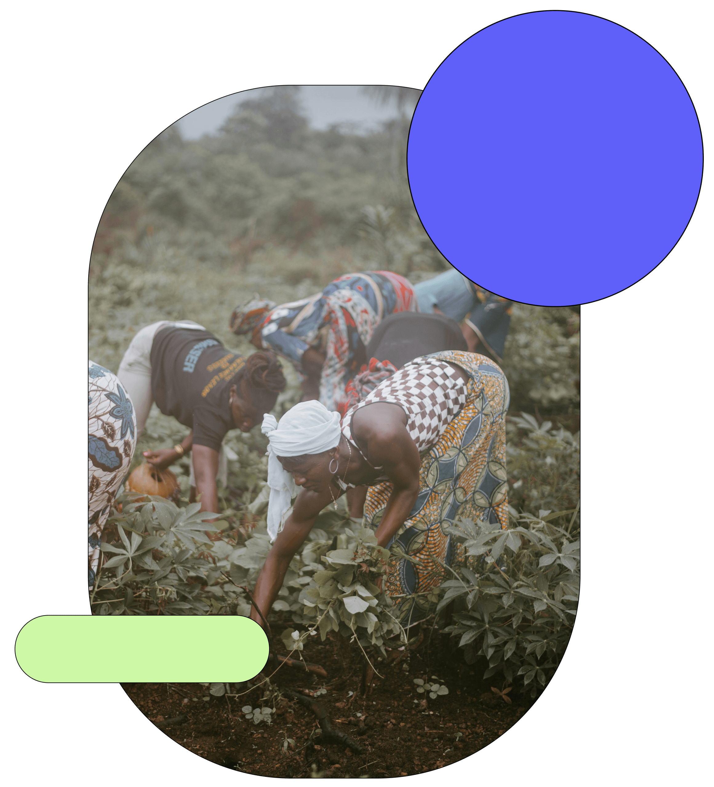 Woman Planting - CROPPED